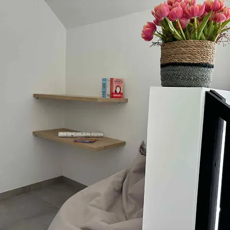 L'ancien Rucher * Hotton